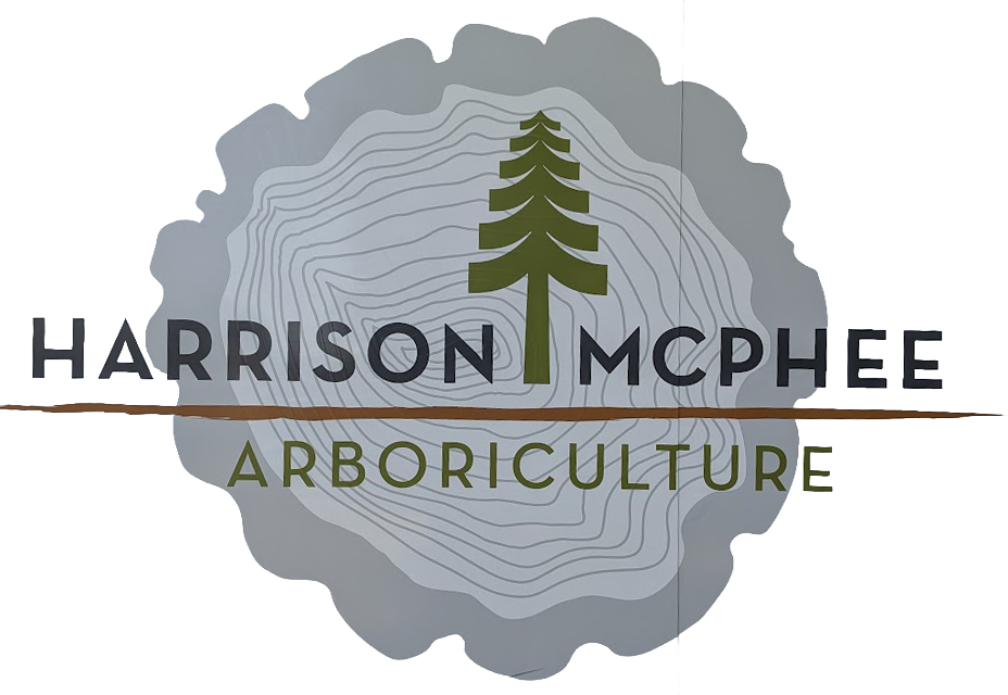 Harrison McPhee logo design